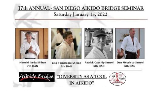 17th annual-San Diego Aikido Bridge Seminar (online) @ Online